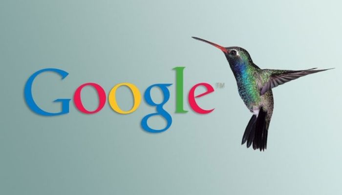 Tính năng của thuật toán Google Hummingbird là gì?