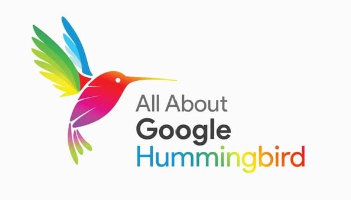 Tổng hợp những điều cần biết về Thuật toán Google Hummingbird