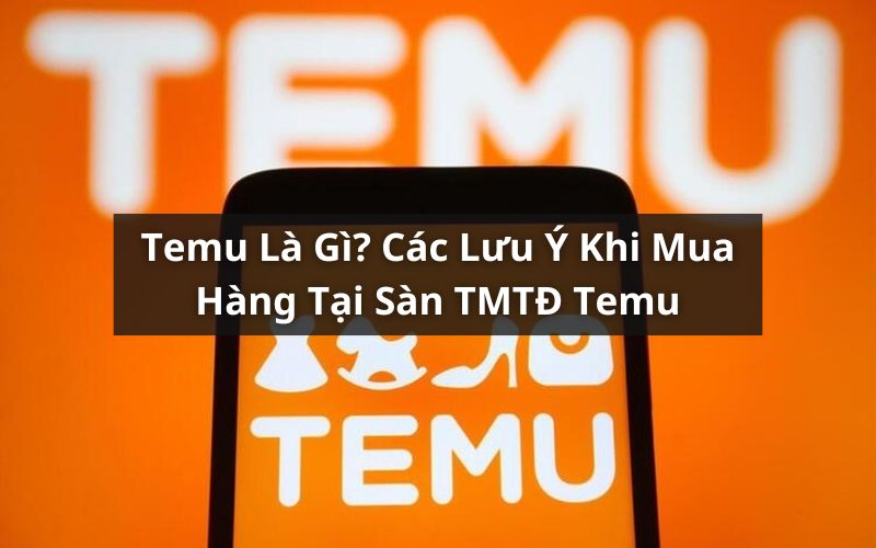 tìm hiểu temu là gì