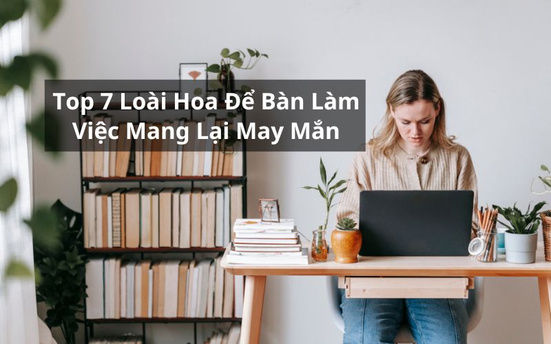 hoa để bàn làm việc