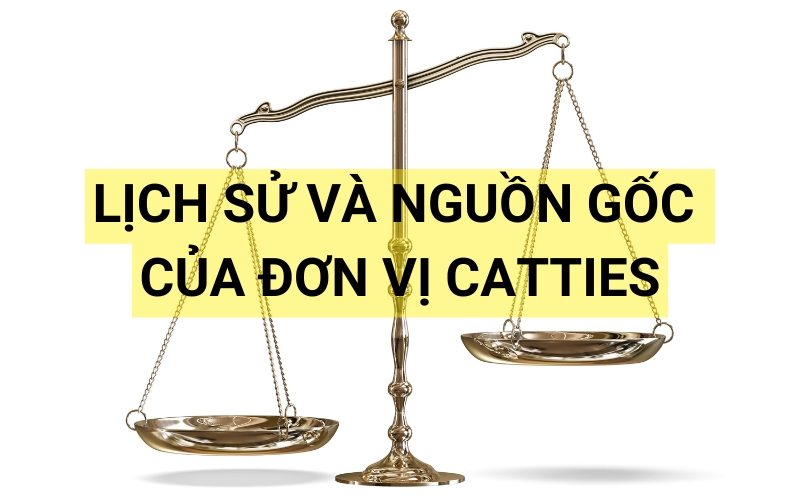 Lịch sử và nguồn gốc của đơn vị Catties