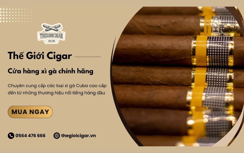 mua xì gà cuba chính hãng tại thegioicigar