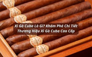 xì gà cuba là gì