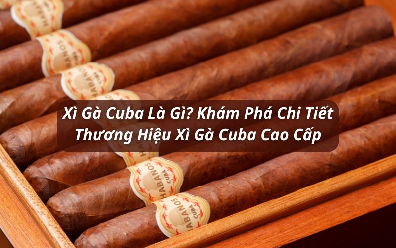 xì gà cuba là gì
